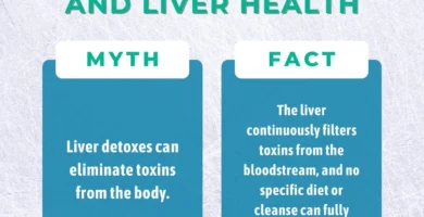 Debunking the Top Myths About Liver Cleansing