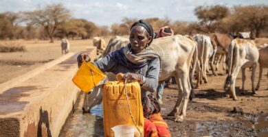 The world is in water bankruptcy, UN scientists report – here’s what that means