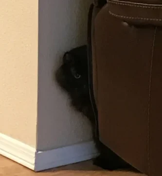 Intertape Is a Crowdsourced Archive of Vintage Cassette Recordings