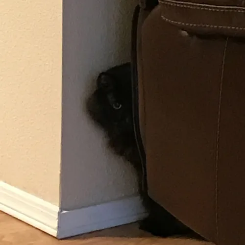 Intertape Is a Crowdsourced Archive of Vintage Cassette Recordings