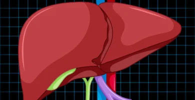 The Surprising Link Between Liver Health and Weight Loss
