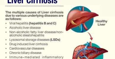 The Surprising Link Between Poor Liver Function and Weight Gain