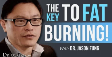 Unlocking the Key to Fat Burning: How Liver Function Plays a Crucial Role