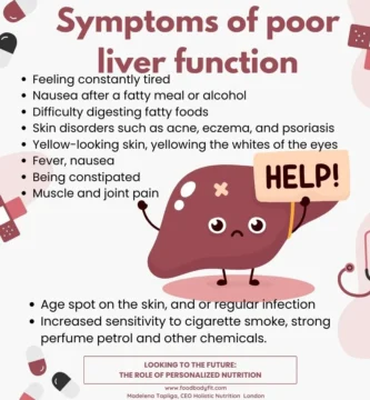 Unlocking the Secrets of How the Liver Processes Fat