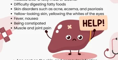 Unlocking the Secrets of How the Liver Processes Fat