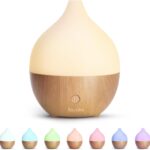 SALKING Essential Oil Diffuser, 100ml Small Aromatherapy Diffuser with Auto Shut-Off Function, Ultrasonic Diffusers for Essential Oils, Cool Mist Humidifier with Warm White Lights, for Office Home