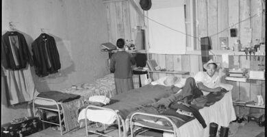 Held captive in their own country during World War II, Japanese Americans used nature to cope with their unjustified imprisonment