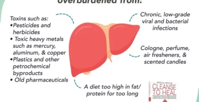 How Liver Health Impacts Your Waistline: Can a Sluggish Liver Lead to Weight Gain?