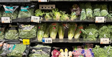 Is Your Liver Slowing Down Your Metabolism? Here’s How to Tell