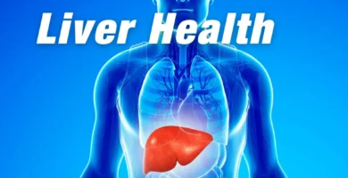 The Importance of Liver Health After 40: How to Protect Your Body