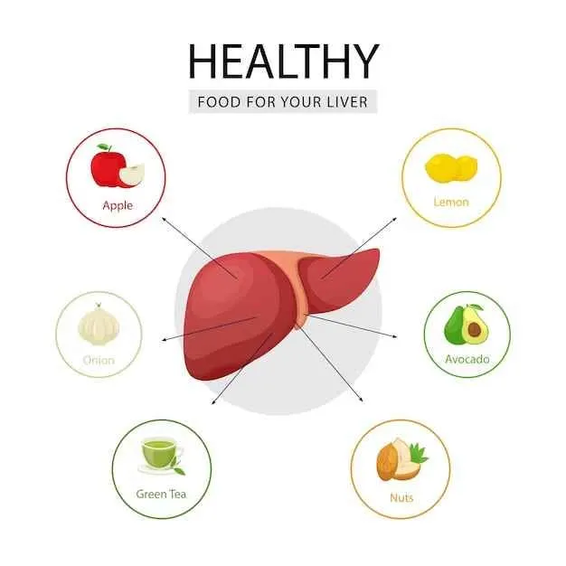 The Liver’s Connection to Weight Loss: Understanding its Impact on Fat Burning The Liver’s Connection to Weight Loss: Understanding its Impact on Fat Burning