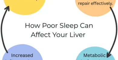 The Surprising Link Between Sleep and Liver Health