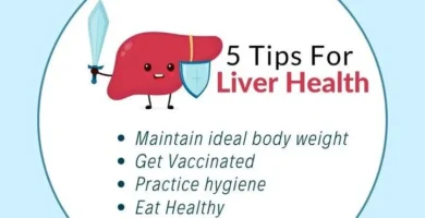 Maintaining a Healthy Liver: Tips for Those Over 40